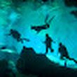 EL JEFFE DIVE LOG