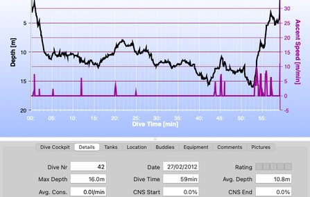 Dive profile