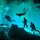 EL JEFFE DIVE LOG